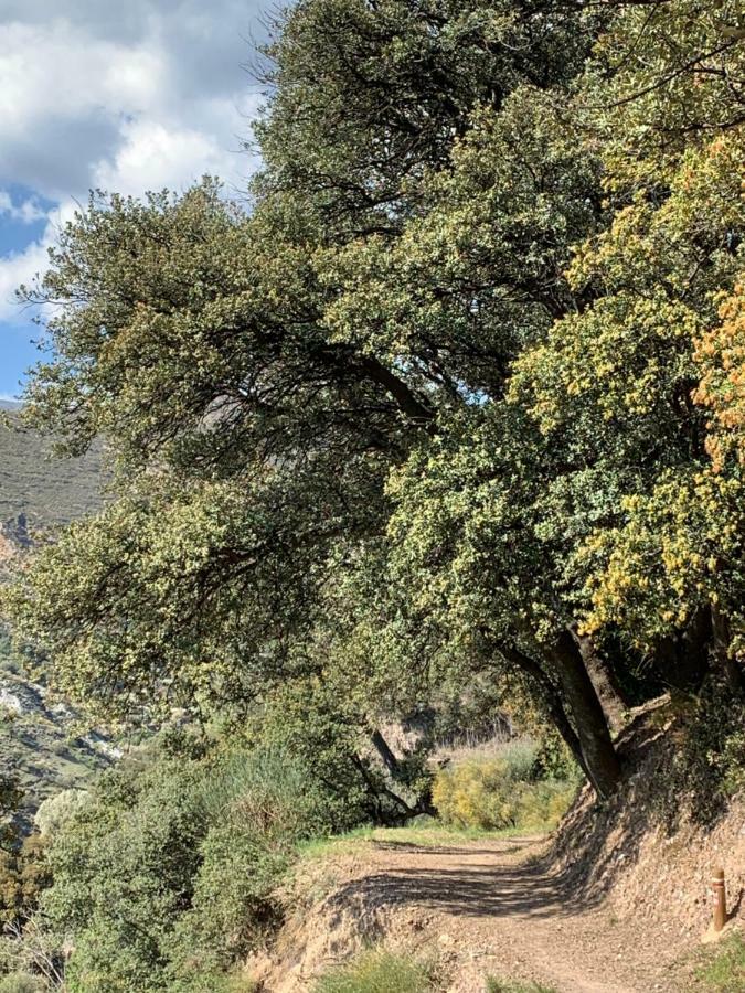 El Huerto De Lobras Daire Dış mekan fotoğraf